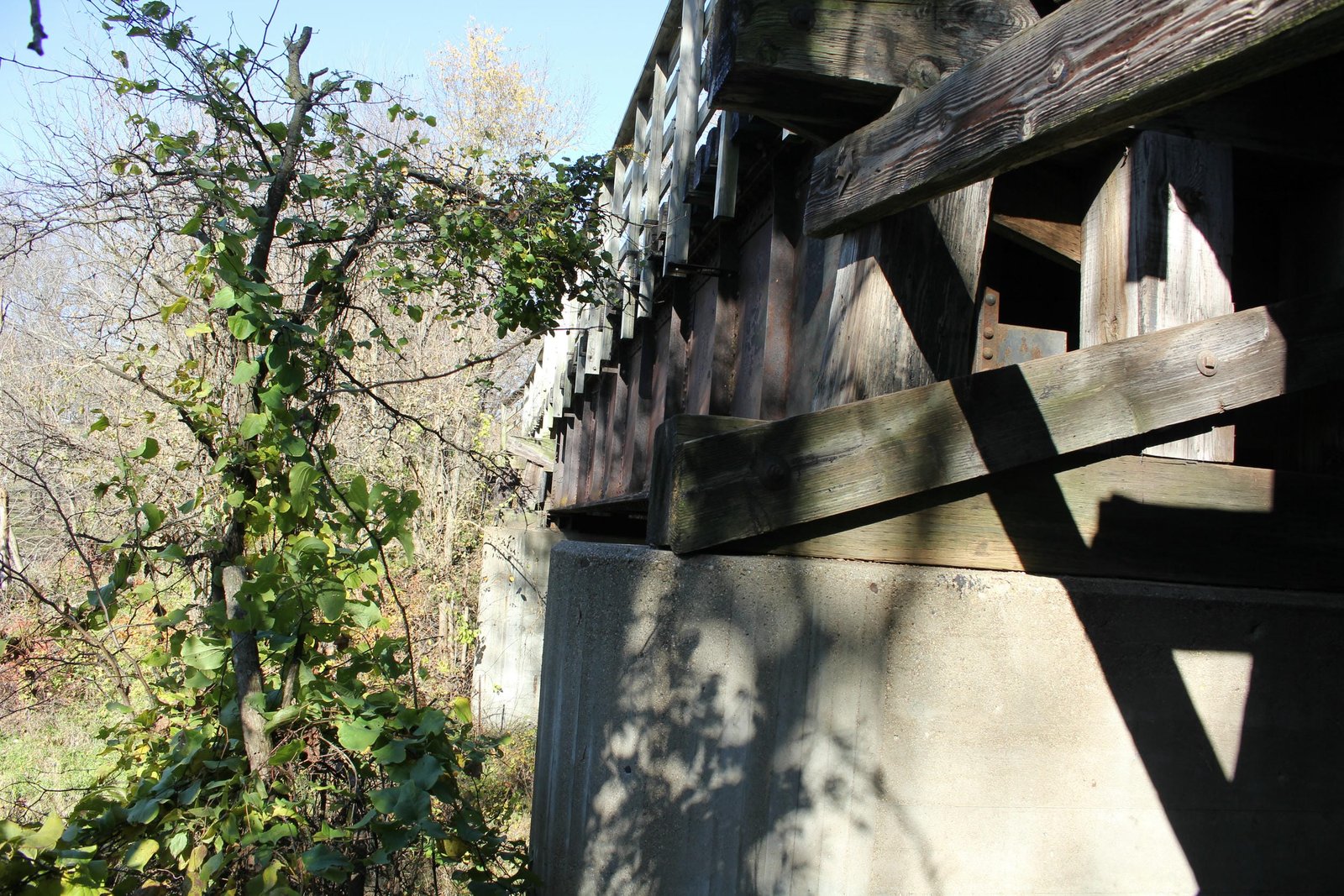 Looking north